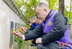评论:清明代祭扫